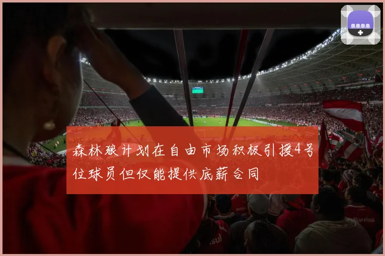 森林狼计划在自由市场积极引援4号位球员但仅能提供底薪合同