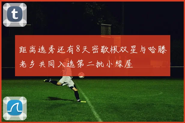 距离选秀还有8天密歇根双星与哈滕老乡共同入选第二批小绿屋